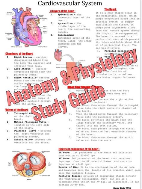  Clinical Diagnosis for Students: 解剖學家的夢魘？還是醫學生必備寶典？